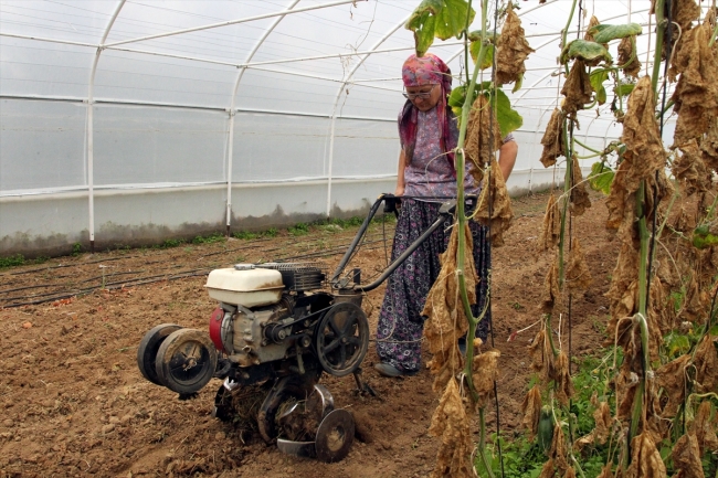 Kırklareli'nin kadın çiftçisi başarılarıyla takdir topluyor